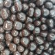 Dark Chocolate Coated Ginger
